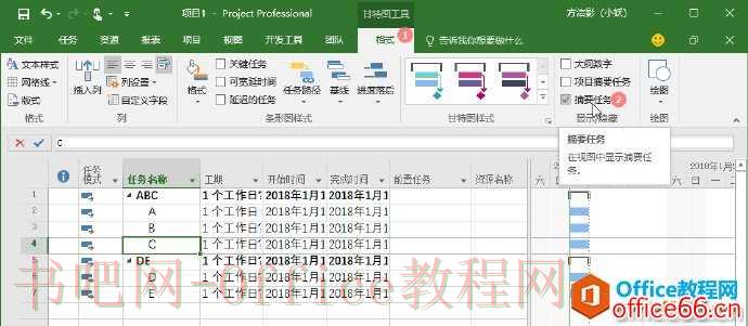 Project 如何显示摘要任务