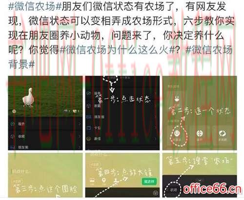 微信农场为什么这么火详细介绍